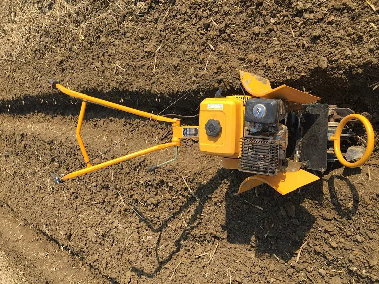 O1CN01yhgMNN1SDb4oyFE5b_!!2588772213