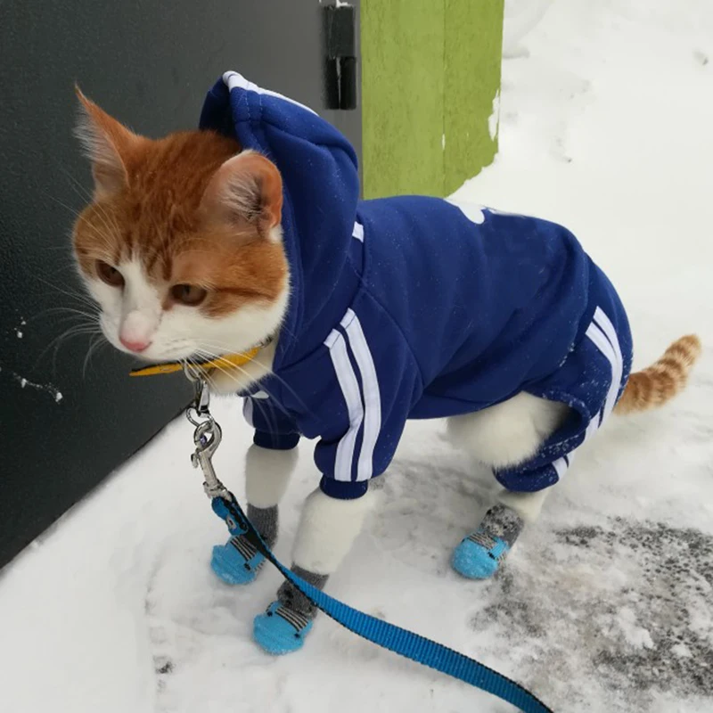 Милый свитер с капюшоном для кошек; зимняя теплая одежда для домашних животных; Одежда для кошек; одежда со сфинксом и каттеном; одежда; Kedi Giyim; товары для домашних животных