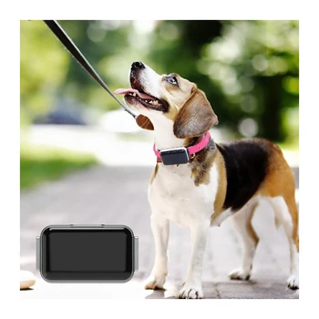 

Pet Collar Mini GPS AODIHENG Branded Premium Tracking Locator Real-Time Remote Monitoring on Free IPMI Anti-Lost PetTracker