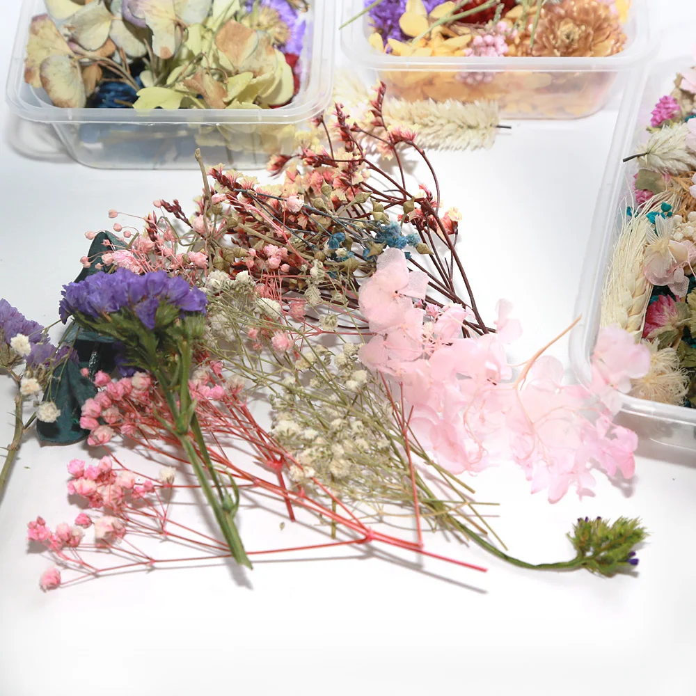 1 коробка настоящие сухие цветы сухие растения для ароматерапии свеча эпоксидная смола для создания ожерелья и кулона ремесло сушеный цветок DIY материал
