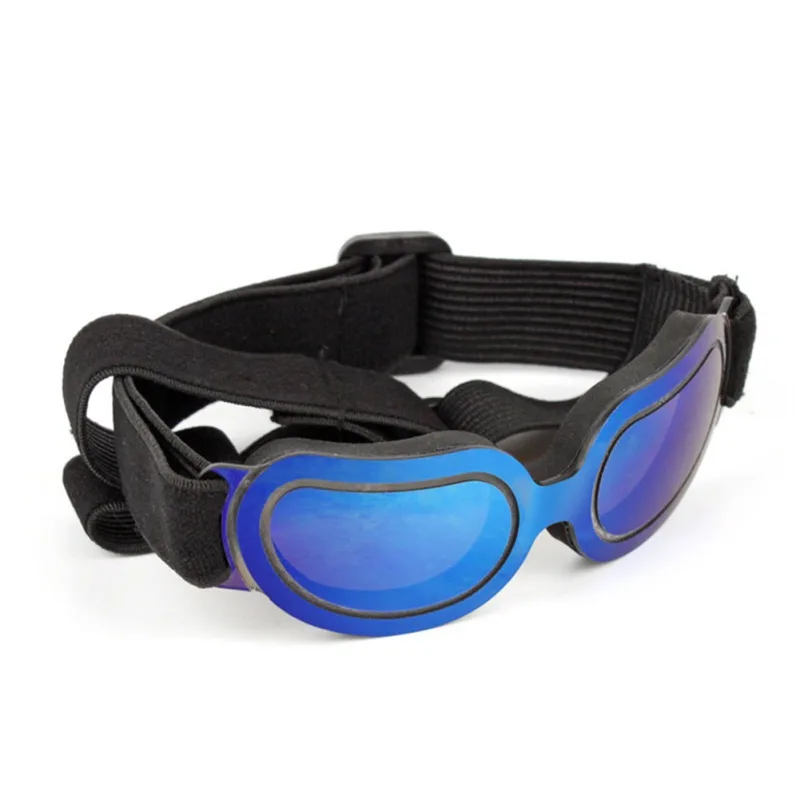 Stylish Sunglasses for Dogs