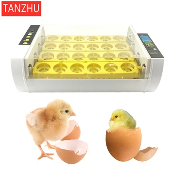 

24 small fully-automatic incubators (colorful box) (4.9kg cast weight, 2.2kg real weight, special logistics, please refer to the