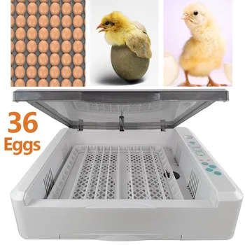 

36 Eggs Egg Incubator Automatic Chicken Incubation Machine Turn Egg Brooder Hatcher Poultry Tool Equipment Chick Hatchery