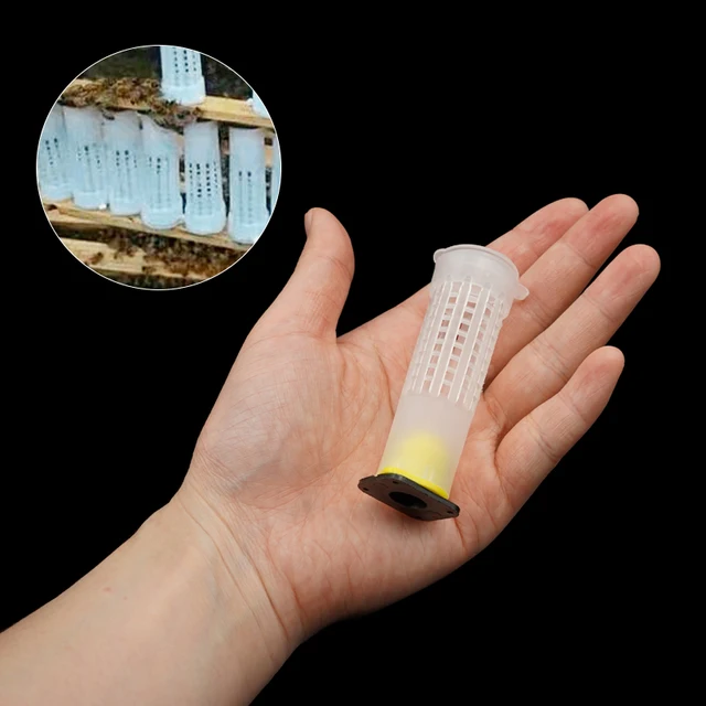 20/50 Pcs Méhész Eszközök Termékenységi Király Talapzatőr Hosszú Fall Pajzs Queen Ketrec Borítója Bejegyzett Levél Szerint - Image 4