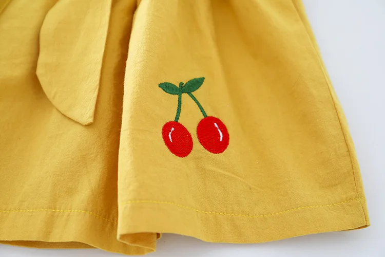 H47e919a5b5ee4ba68204a1c9277c97dad