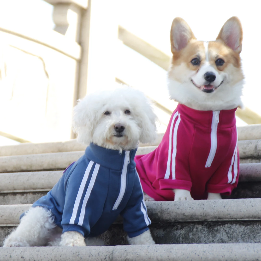 

Pet clothes autumn and winter trend sports style dog clothes cat clothes cute dog sweaters medium and small dog clothes