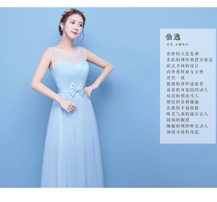 Sky Blue Wedding Guest Dress Elegant Burgundy Bridesmaid Tulle New Years Dress Graduation Long Party Sister Club Prom Princes