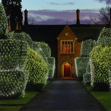  moonlux 6m*4m 880LED Net String Lights Party Wedding Christmas Wedding Decoration 100-240V EU/US Plug 
