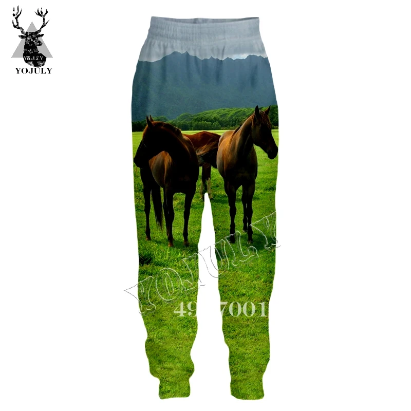Лошадь Забавный 3D принт Харадзюку треники летние унисекс длинные штаны уличная хип хоп мужские и женские новые модные повседневные брюки L8 - Цвет: 5