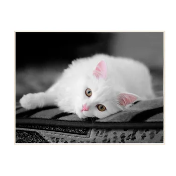 

40 X 50cm Creative DIY 5D Diamond Painting Full Drill Rhinestone Embroidery For Wall Decor - White Cat/Flower/Sunset Pier/Wolf