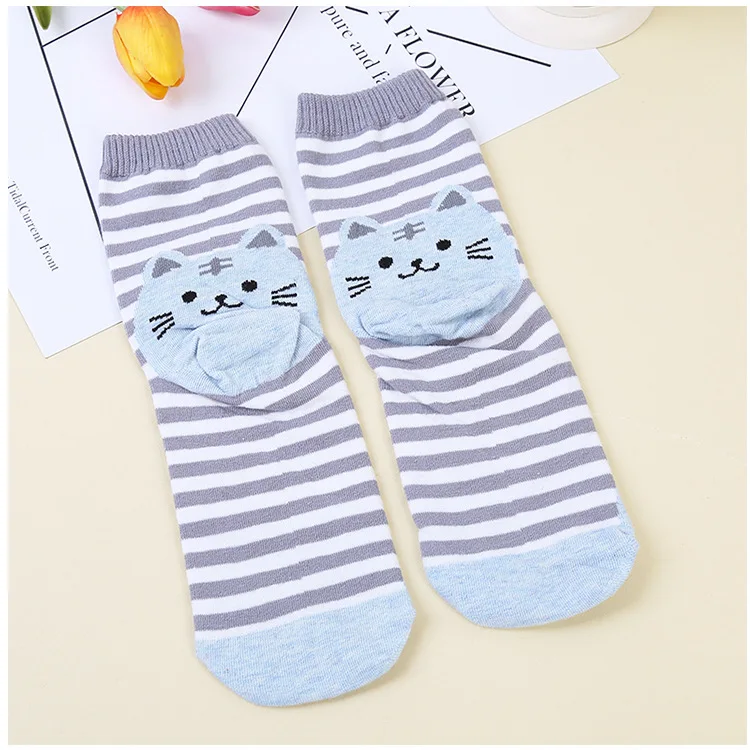 9038316352_618938714