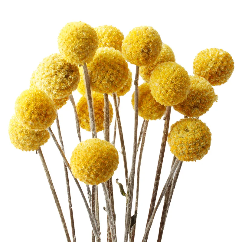 Denisfen высушенная ветка 3 см большой букет Billy Ball сухоцветы желтые декоративные растения Цветочные украшения дома аксессуары