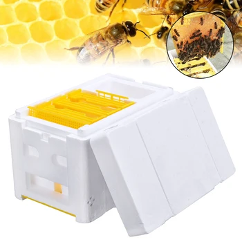 

24cm Bee Hive Box Harvest Beehive Pollination Beekeeping Auto Honey Beehive Frame Box for Bee Mating Copulation Beekeeping Tool