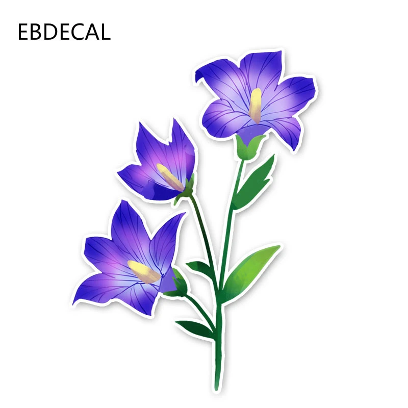 Ebdecal 漫画植物かわいいハイビスカスの花自動車 バンパー 窓 壁デカール Diy の装飾 Ct101 車のステッカー Aliexpress