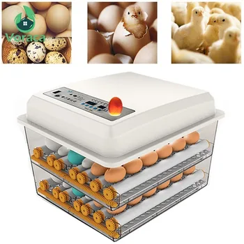 

220V 110V Eggs Incubator Brooder Quail Bird Incubator Chick Hatchery Poultry Tool Hatcher Turner Automatic Tools Farm Incubation