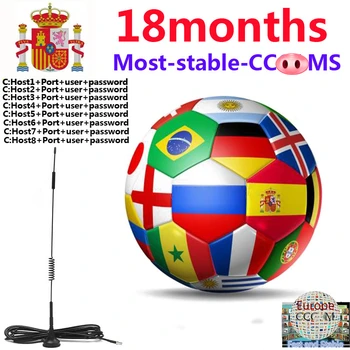 

cccam Europa Spain HD cable 1 Year 3ccam for Satellite tv Receiver 8/8Cline WIFI FULL HD DVB-S2 Support Spain 8/8cline Server