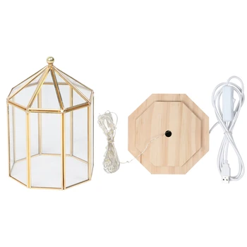 

Geometric Shape Elegant Plants Cover Succulent Plant Home Garden Decoration Baskets