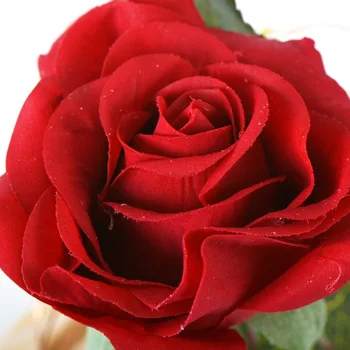 

Beauty Artificial Red Wooden Dome Decoration Glass Base Accessories Home Valentine's Party Rose LED Gifts. 1