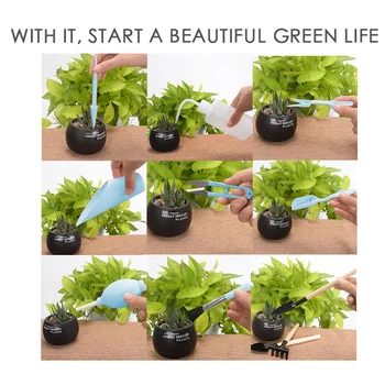 

16PCS Succulent Plant Transplant Tools Combination Mini Gardening Supplies Garden Planter Kit Succulent Planting DIY Tool Set