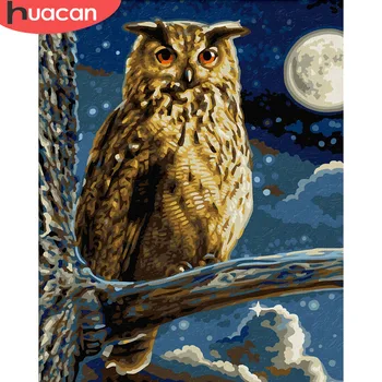

HUACAN DIY Oil Painting By Numbers Owl Animal Kits Drawing Canvas Pictures By Numbers HandPainted Home Decor Gift