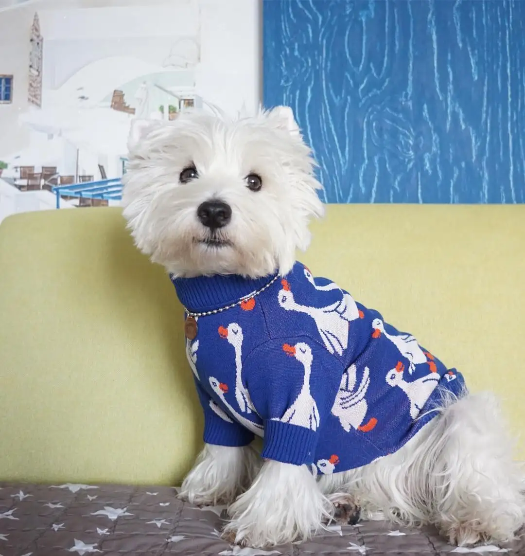 Мягкий свитер для собак, Классический Повседневный костюм для домашних животных, модный кардиган, свитер, вязаная куртка для щенка из шнауцера, бульдога