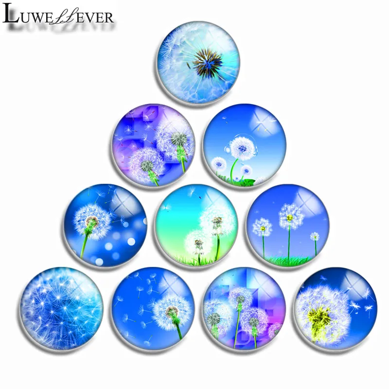 

12mm 10mm 16mm 20mm 25mm 30mm 563 Dandelion Mix Round Glass Cabochon Jewelry Finding 18mm Snap Button Charm Bracelet