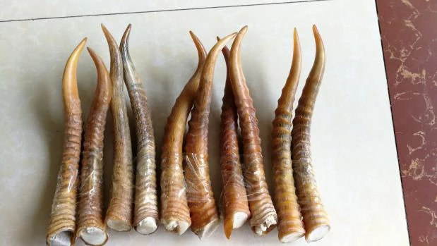 HTB10J95wbGYBuNjy0Foq6AiBFXak