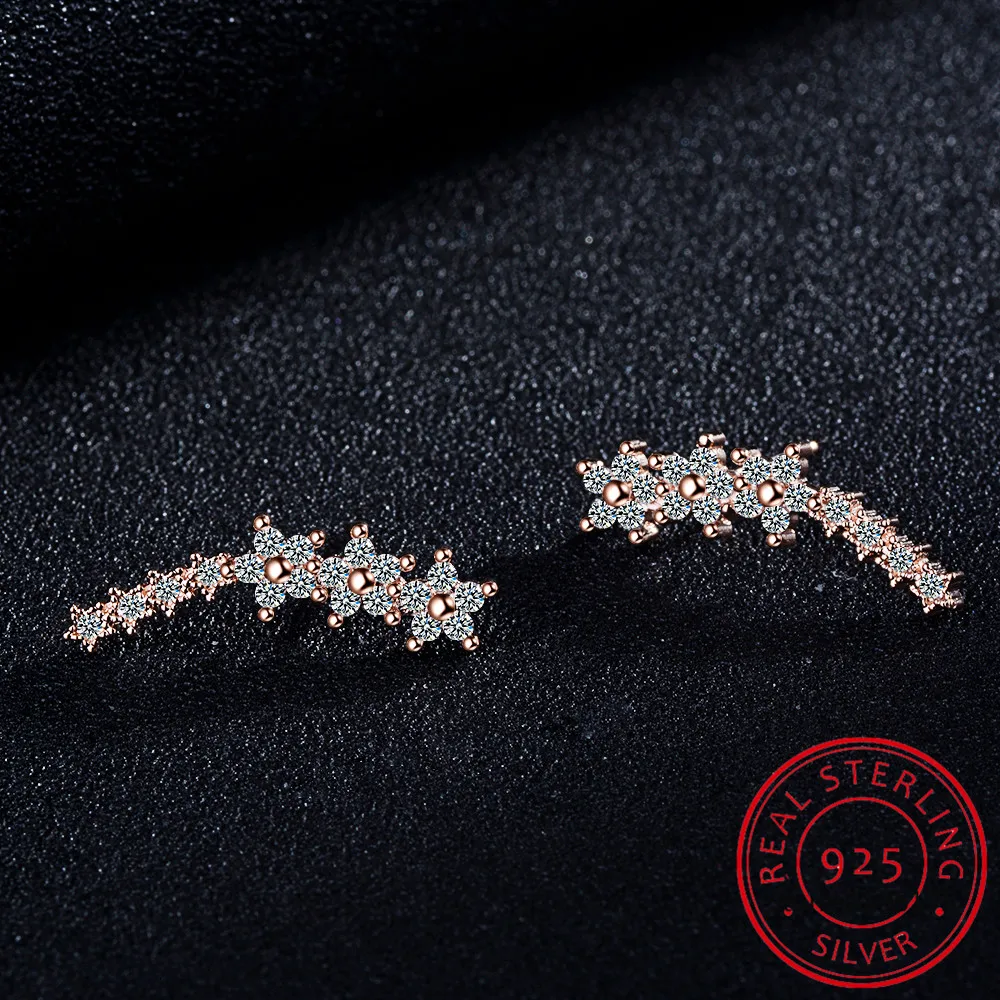 Earrings Close-up