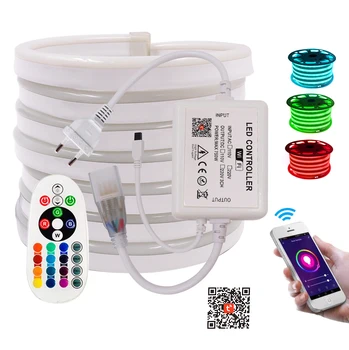 

Wireliss WIFI Neon Strip Light Remote RGB 220V 110V Flexible Led Neon String Outdoor Holiday Decor Lamp With EU US UK AU Plug