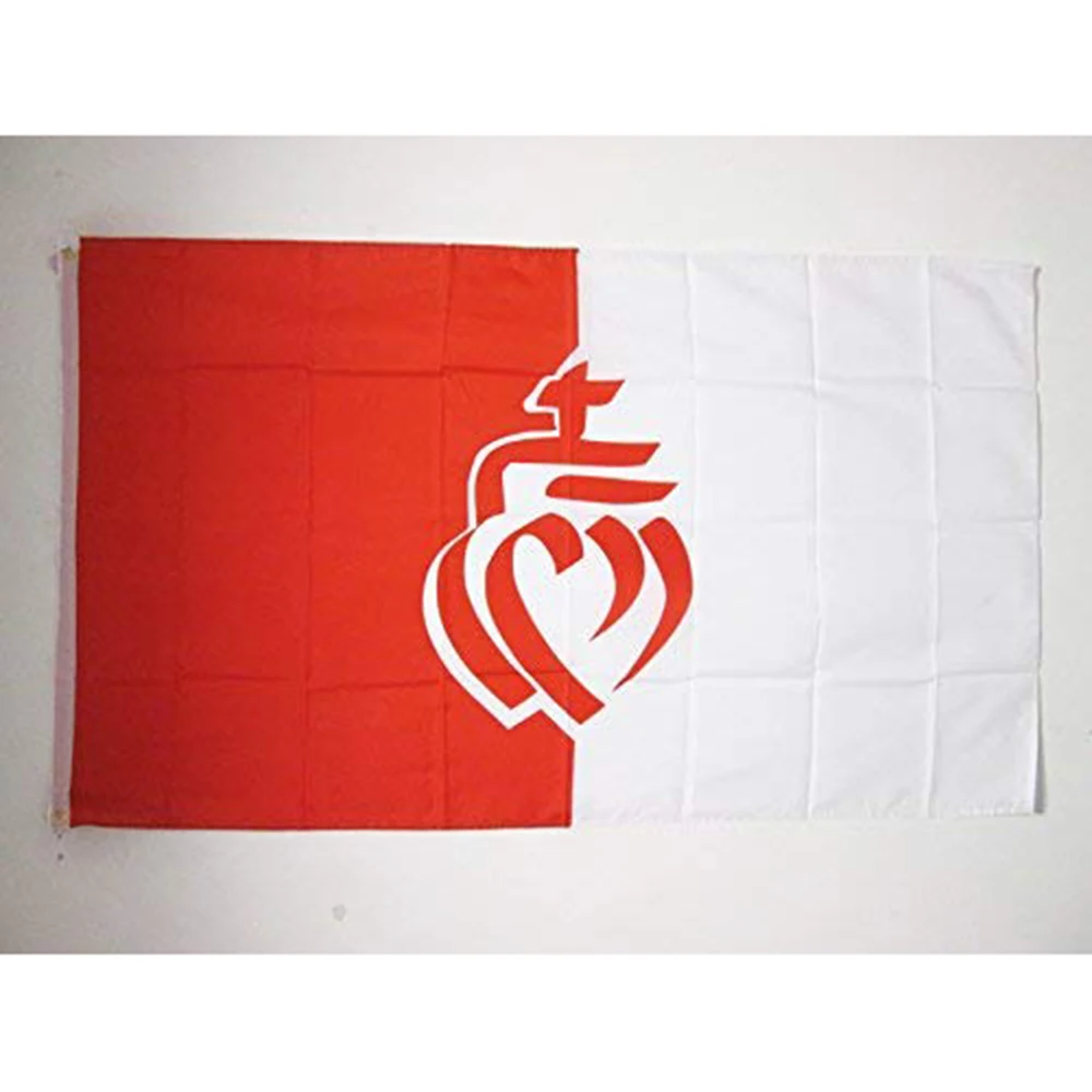 法国 旺带French Department Of The Vendee Flag