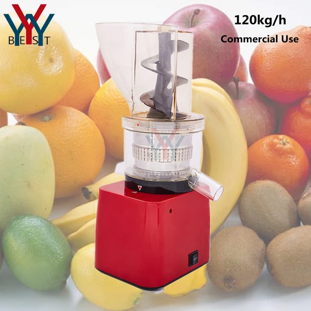 220V Electric Juicer Juice Extractor Fruits Juicing Machine - AliExpress