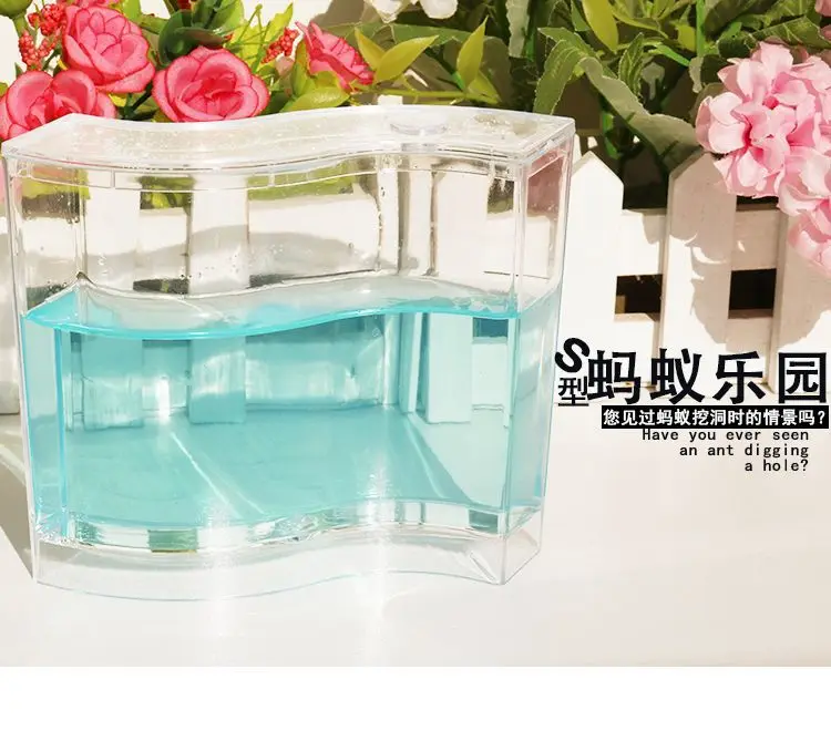 Creative Ant Ecology Paradise, Ant Workshop, S-Shaped Ant Maze Desktop Pet Ant Toy