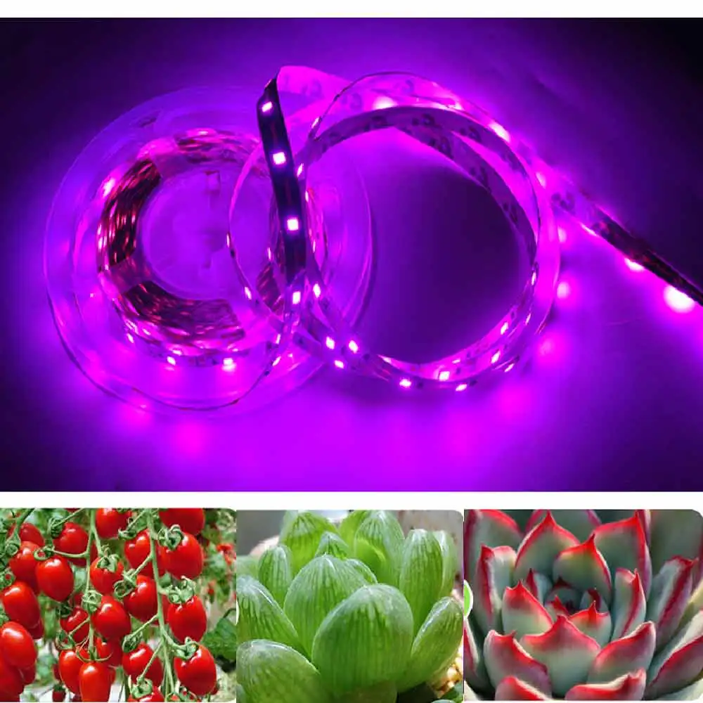 LED Grow Light LED Strip Light 1m 2m 3m 5m Full Spectrum Chip SMD 2835 LED  Phyto Lamp For Greenhouse Hydroponic Plant Growing|LED Grow Lights| -  AliExpress