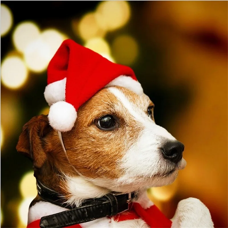 

1pcs Christmas pet hat Santa Claus hat small puppy cat dog holiday costume hat loaded with Christmas cute jewelry high quality