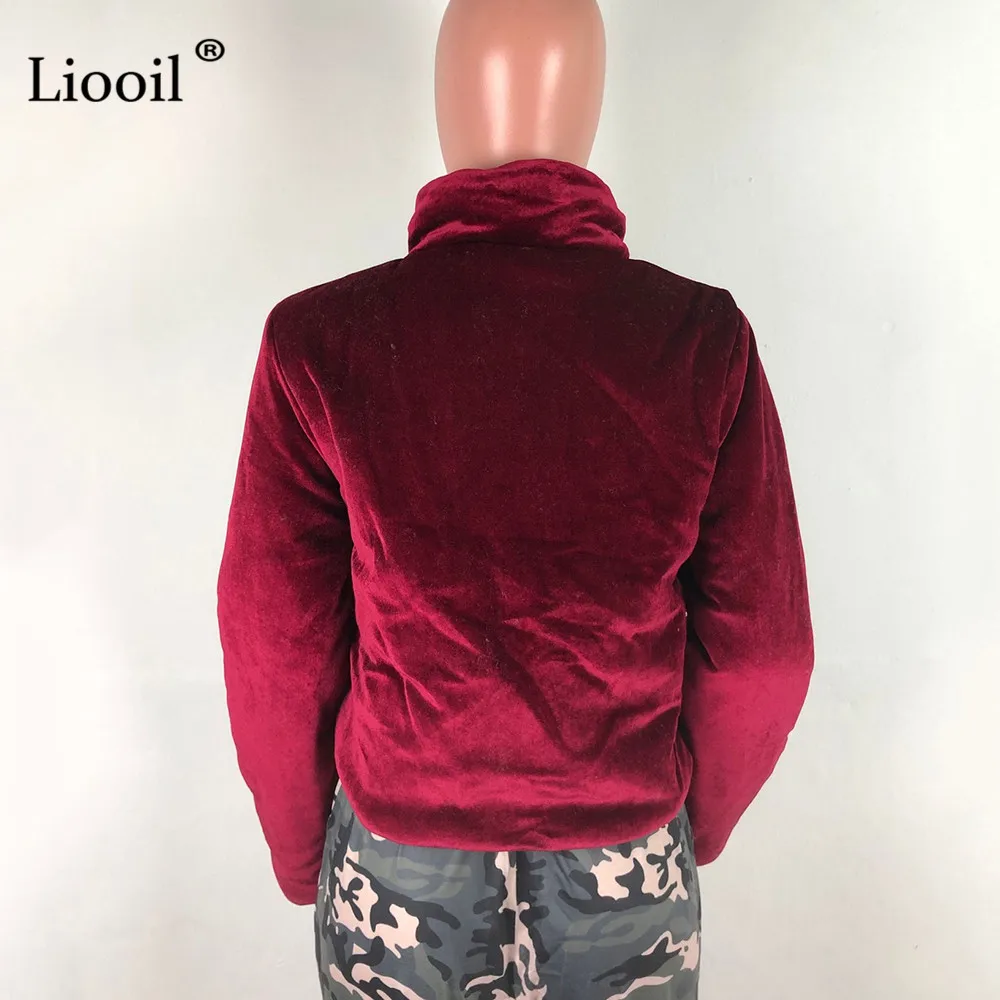 Liooil, сексуальные бархатные короткие свободные пальто и куртки для женщин, Осень-зима, уличная одежда с длинным рукавом, водолазка, на молнии, пальто, женская верхняя одежда