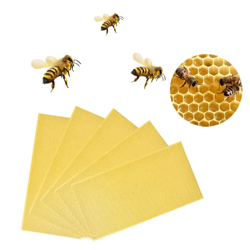 5 шт. пчелиное гнездо Пчеловодство Мед гребень пчелиный воск основа рамки пчелиный воск мед улей садовое оборудование инструмент