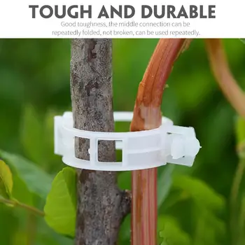

White Useful Plant Clip Tomato Clips Fixed New Drop Shipping Fashion