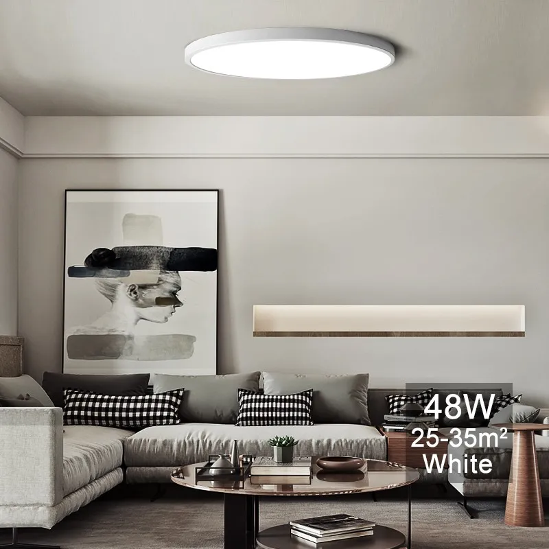 Ultra-thin Led Ceiling Light Modern 20inch Large Ceiling Lamp For