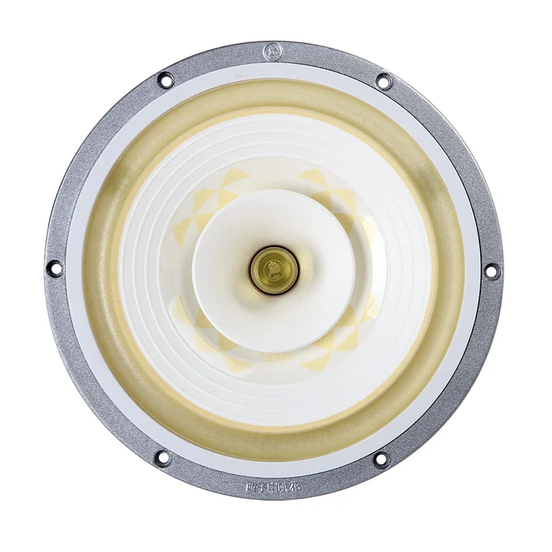 HF 038 HiFi динамик s 10 дюймов полный диапазон Y38 аэрокосмический Магнитный