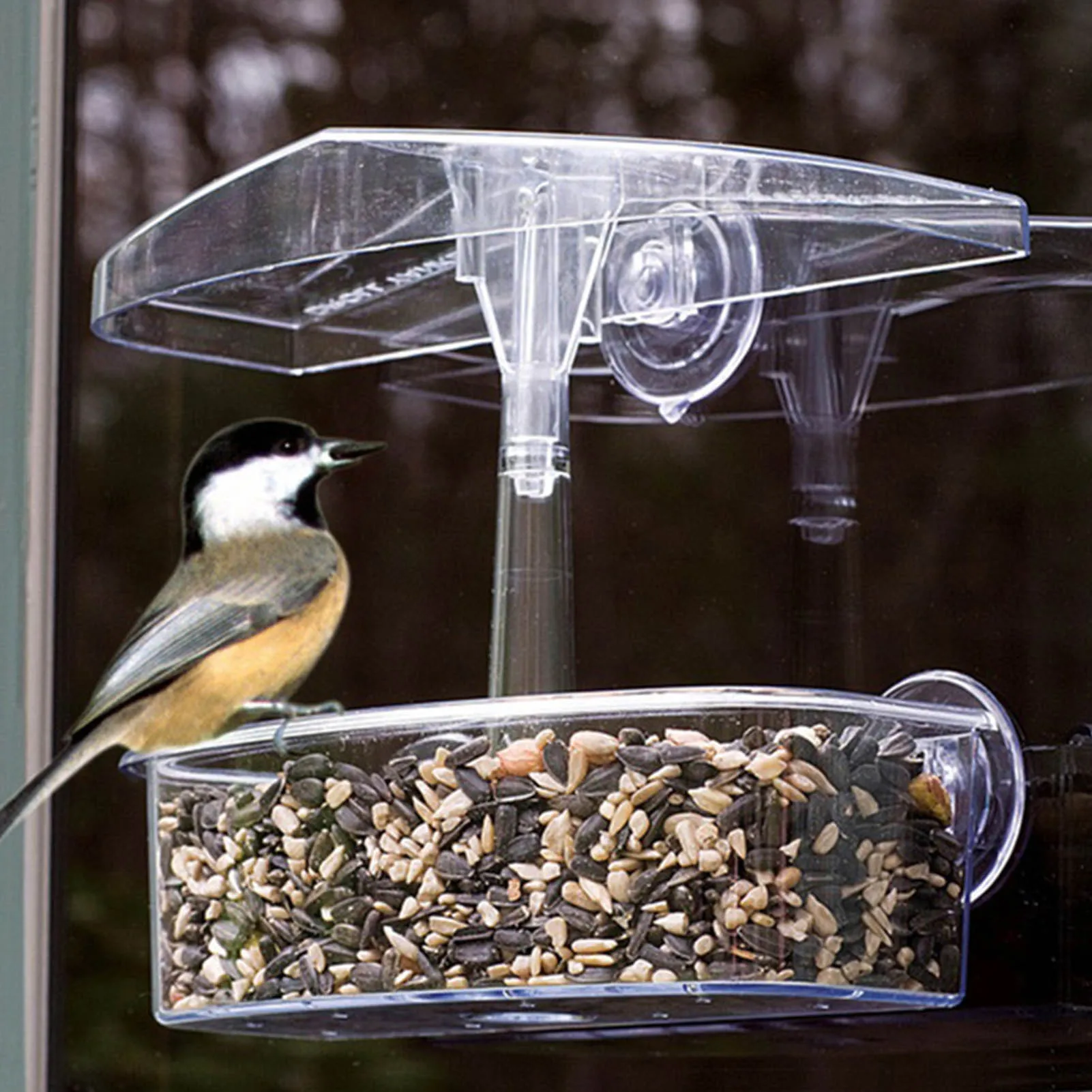 Bird Feeder Transparent Window Viewing Bird Feeders Tray Birdhouse Pet Water Feeder Suction Cup Mount House Type