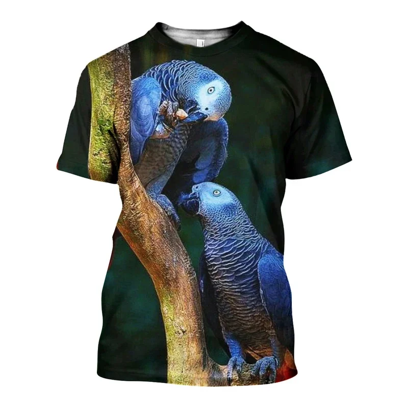 D_c_Grey_Parrot_3D_DT011108_TS_800x