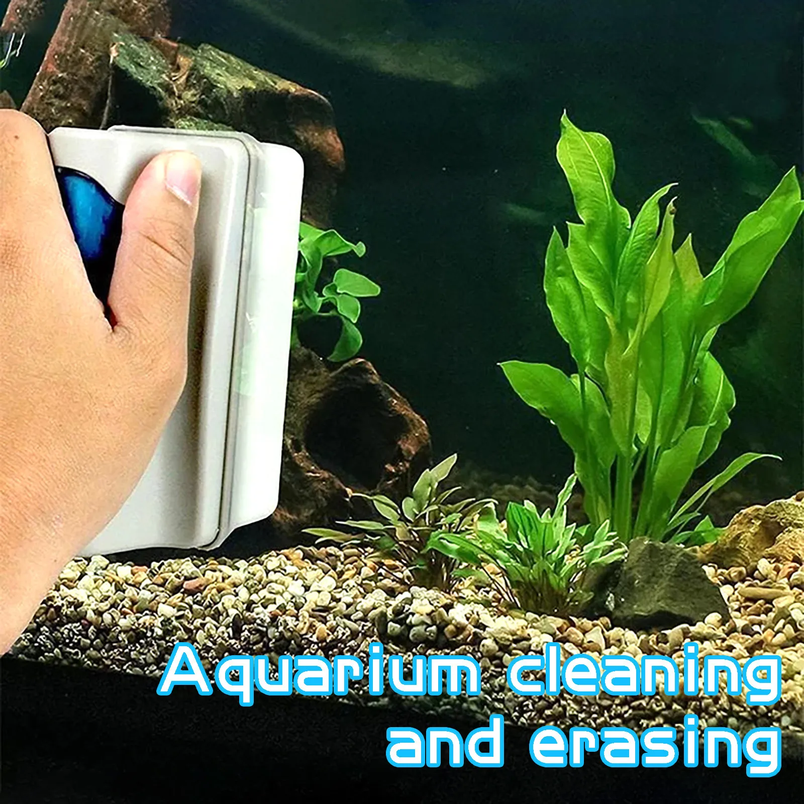 Чистка стекол аквариума. Скребок для круглого аквариума. Чистка стекол в аквариуме. Чистка аквариума. Чистка стекол аквариума.