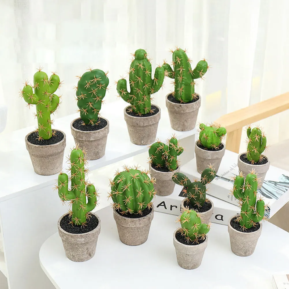 Мини Кактусы В Горшках Купить