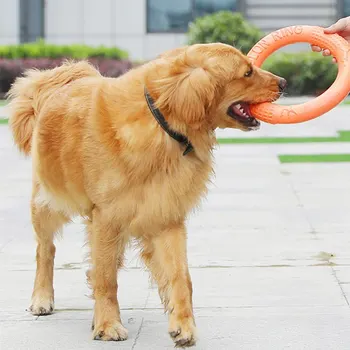 

Pet Flying Discs EVA Pet Ring Pull-resistant Bite Floating Toy Training Ring Portable Outdoors Dog Interactive Game Playing Ring
