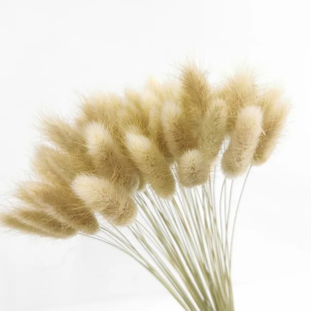 15Pcs Dried Reed Flower Arrangement Natural Pampas Grass For  Modern Home Decoration Party Backdrops Wedding Supplies as chart