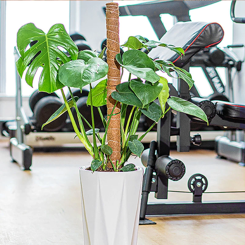 Plant Cages Supports