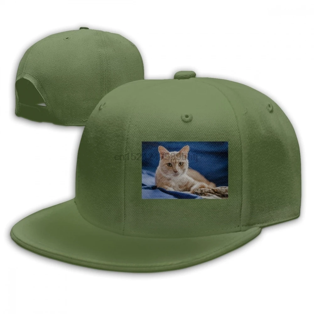 New Fashion Casual Adjustable Baseball CapsCat Cap Casquette Hats