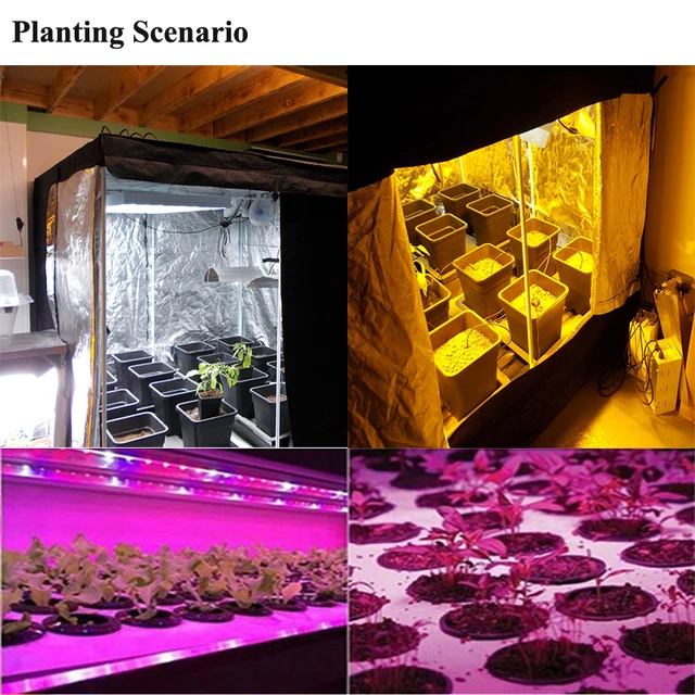 Növénytermesztés Sátor 7.9'X6.6'X3.9 Grow Box Beltéri Hidroponikus Szoba Otthoni Növénykert Üvegházhatású Növények Könnyű Sátorához - Image 6