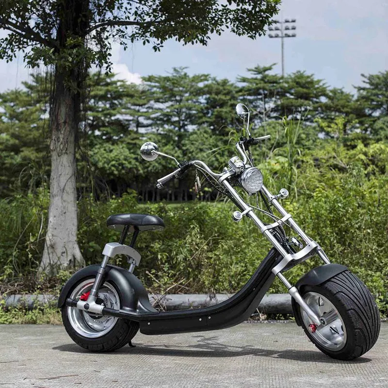 Daibot Electric Scooter Motorcycle 2 Wheeled Self Balancing Scooters  Big Tire Citycoco Electric Scooter 1000W 60V (14)