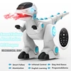 Smart Electric Programe Remote Control Dinosaur Atomization Bionic Swing Tail Sing&Dance Cool Lights Remote Control Dinosaur Toy 1